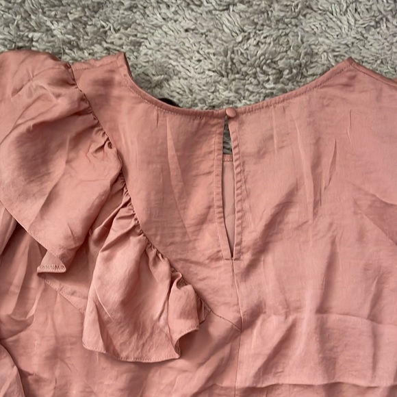 Lane Bryant Shimmery Rose Gold L/S Ruffle Detail Blouse, size 14 - Picture 5 of 5